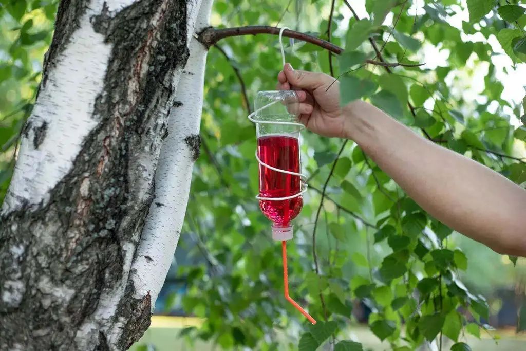 Making-Your-Own-Hummingbird-Feeder