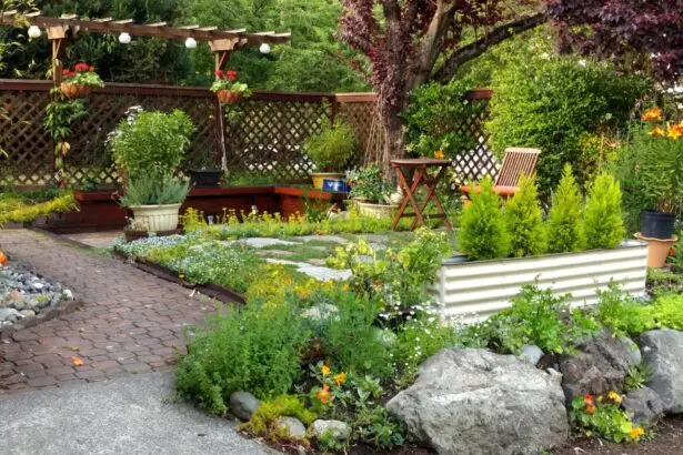 how-to-create-a-bird-friendly-garden