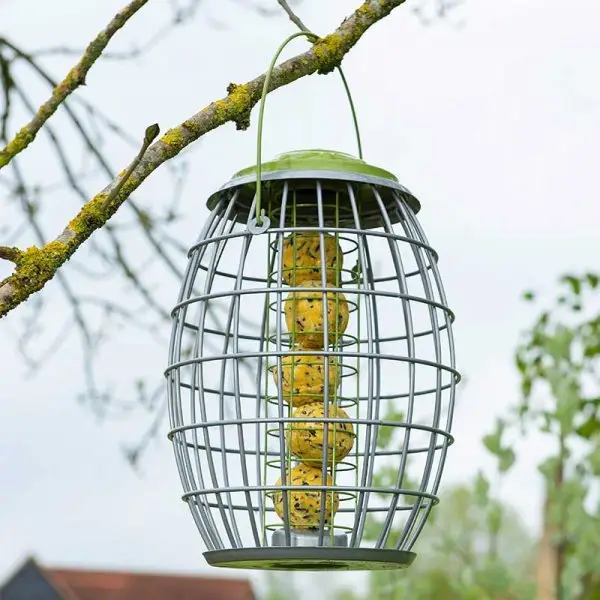 how-to-keep-squirrels-out-of-bird-feeders