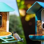 How-to-Choose-The-Best-Bird-Feeder-Camera