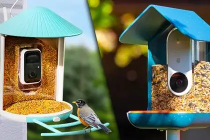 How-to-Choose-The-Best-Bird-Feeder-Camera