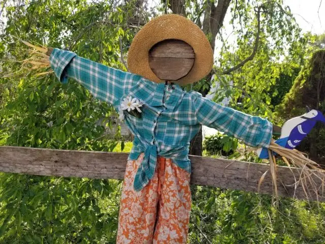 garden-Scarecrows