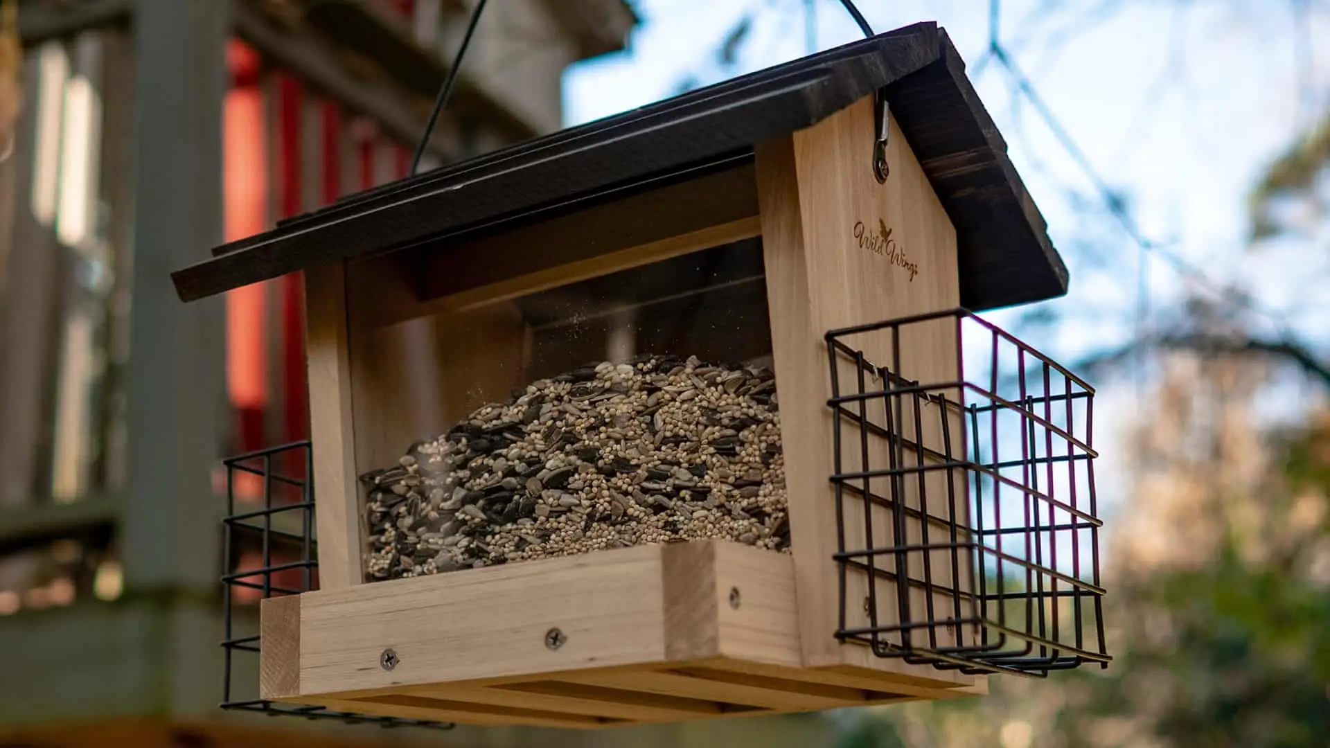 Bird-Feeder-Placement-Tips